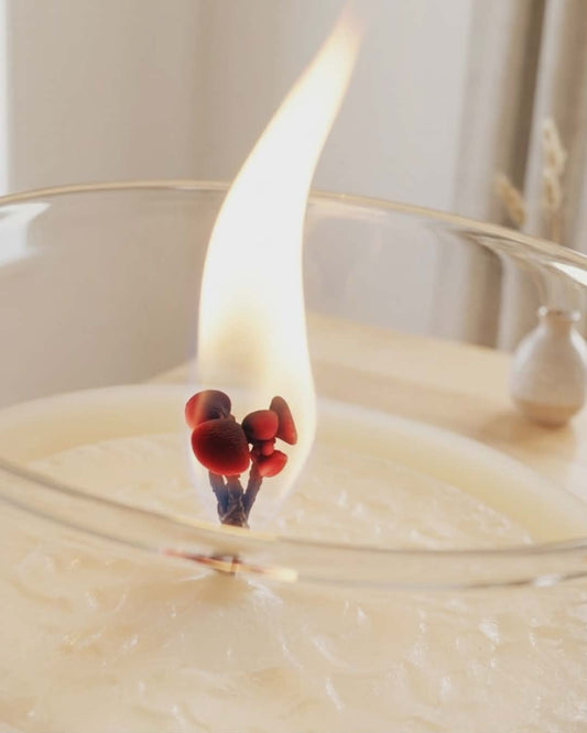 Why does my candle wick mushroom?
